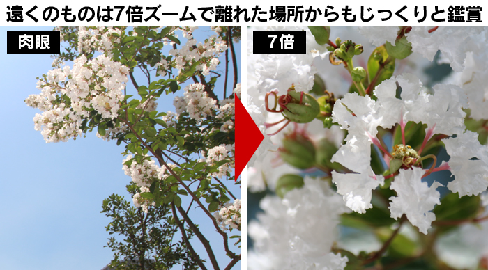 コンパクト単眼鏡