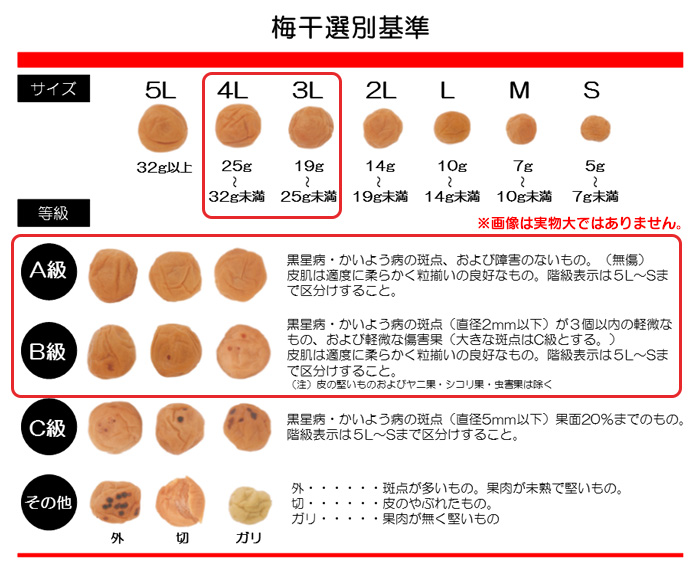 減塩1.5% 紀州産南高梅 蜂蜜味 400g