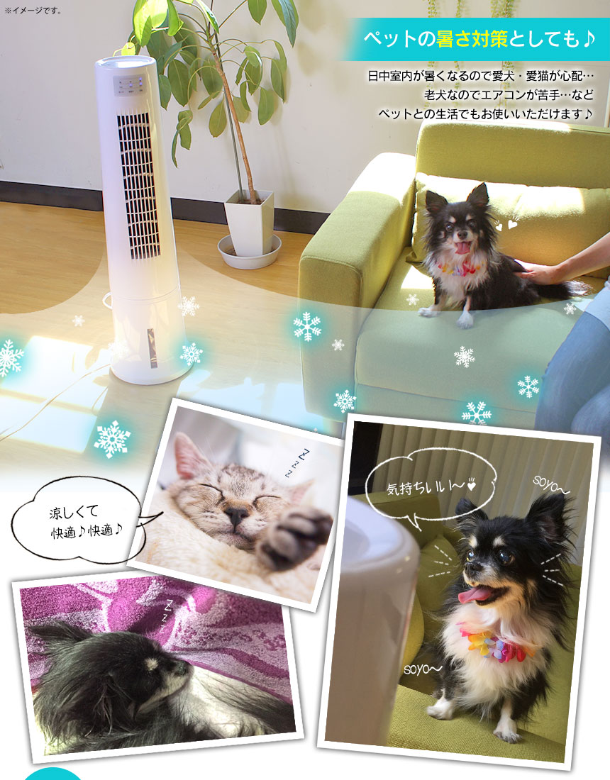スリムタワー冷風扇 アクアスリムクール 【新聞掲載】