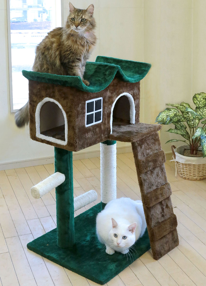 緑の屋根のキャットハウスTAN-821
