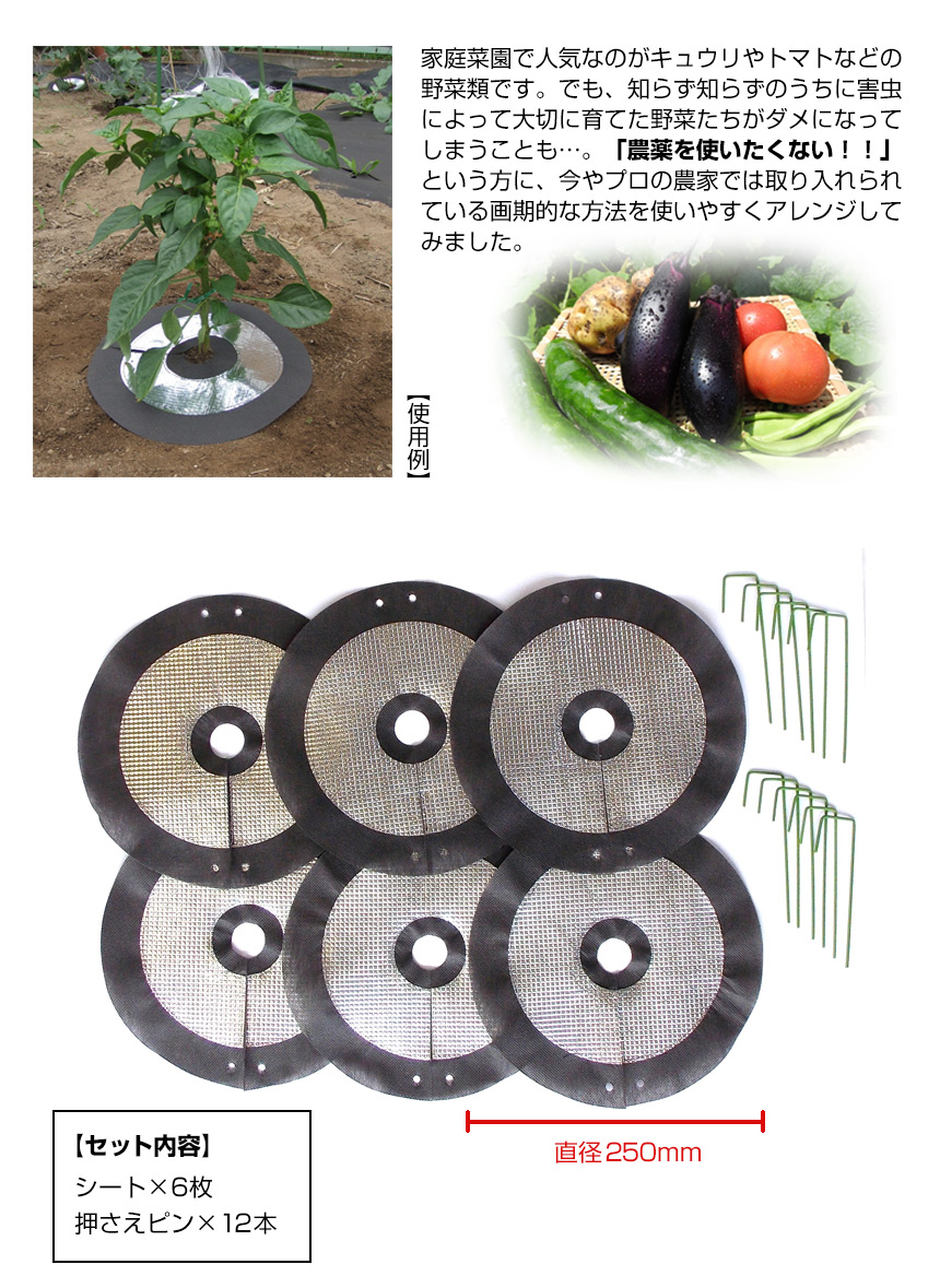 虫よけしきわらいらず6枚組