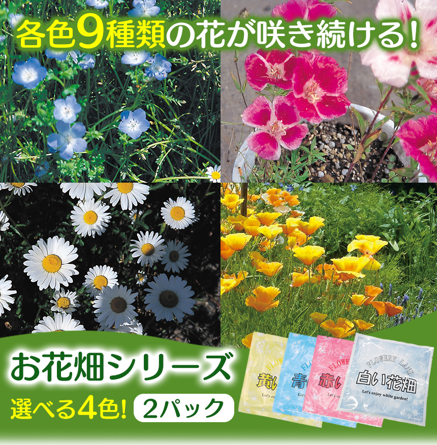 お花畑シリーズ【2パック組】
