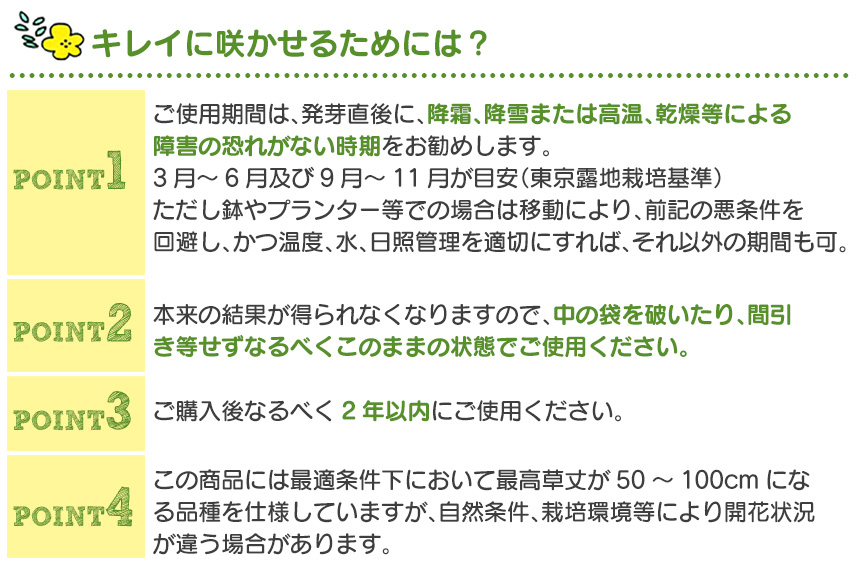 お花畑シリーズ【2パック組】