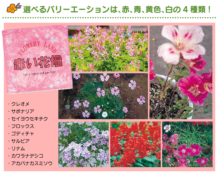 お花畑シリーズ【2パック組】
