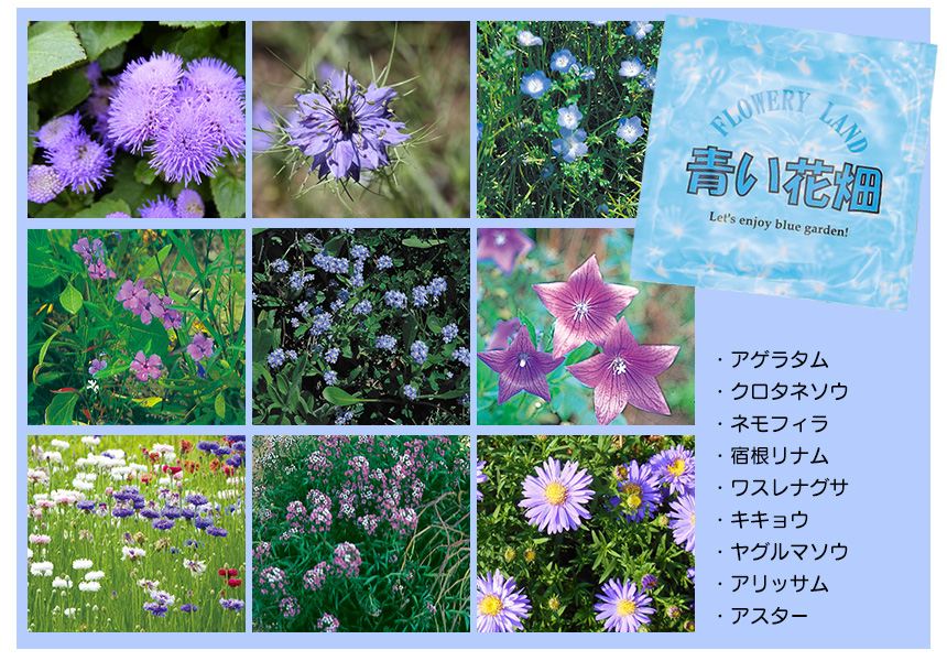 お花畑シリーズ【2パック組】