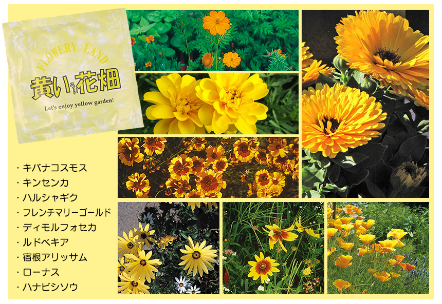 お花畑シリーズ【2パック組】