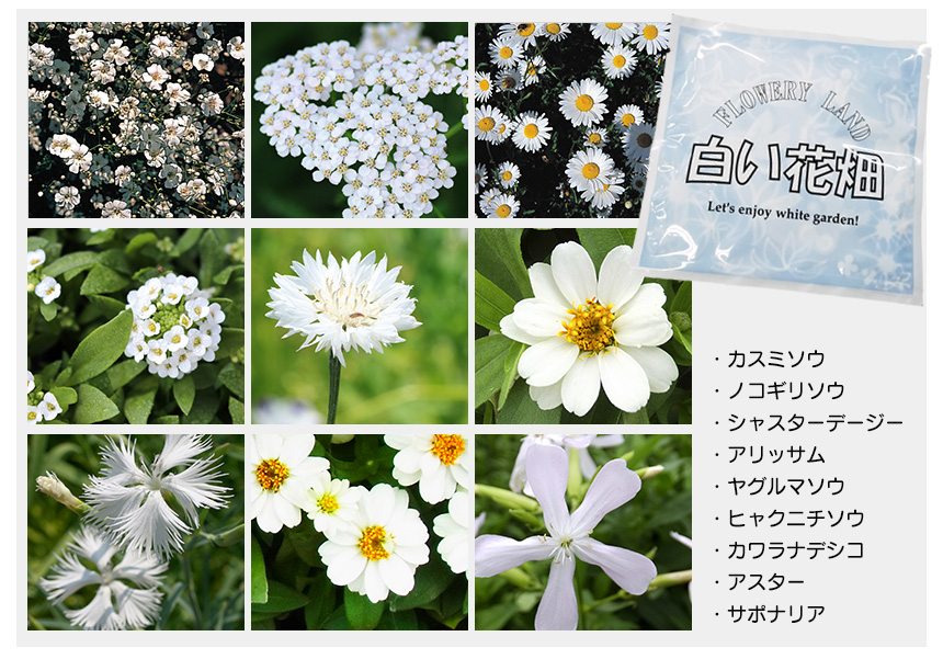 お花畑シリーズ【2パック組】