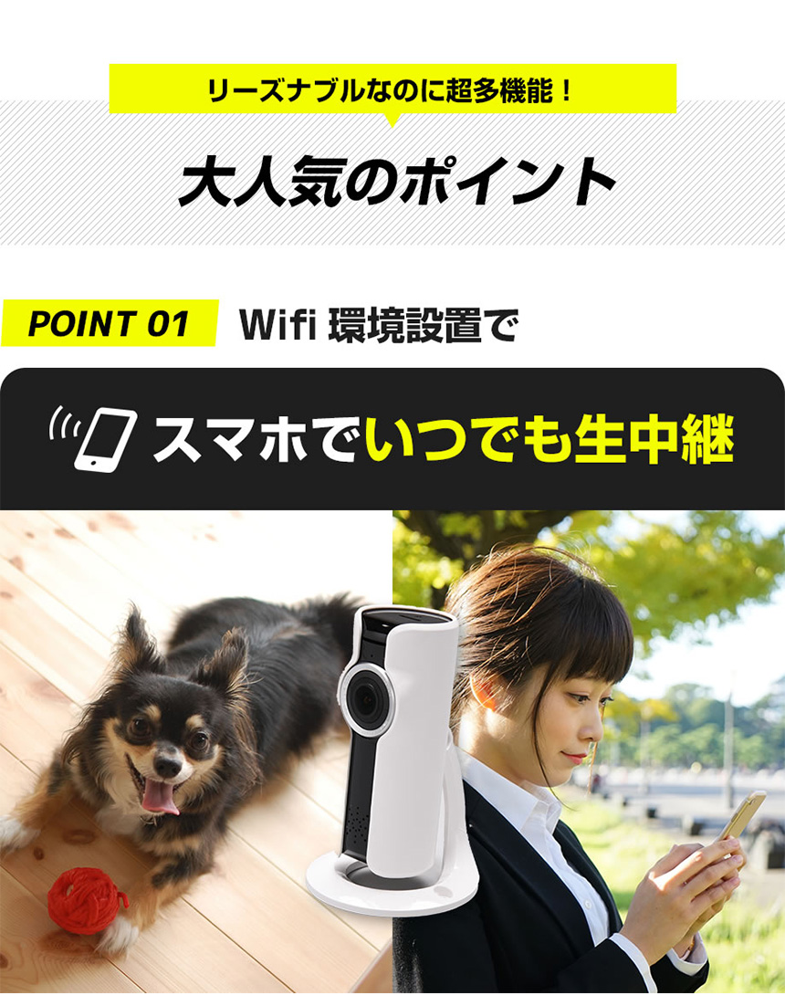 ネットワーク防犯カメラ