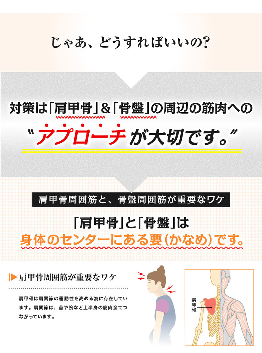 ストレッチハーツ