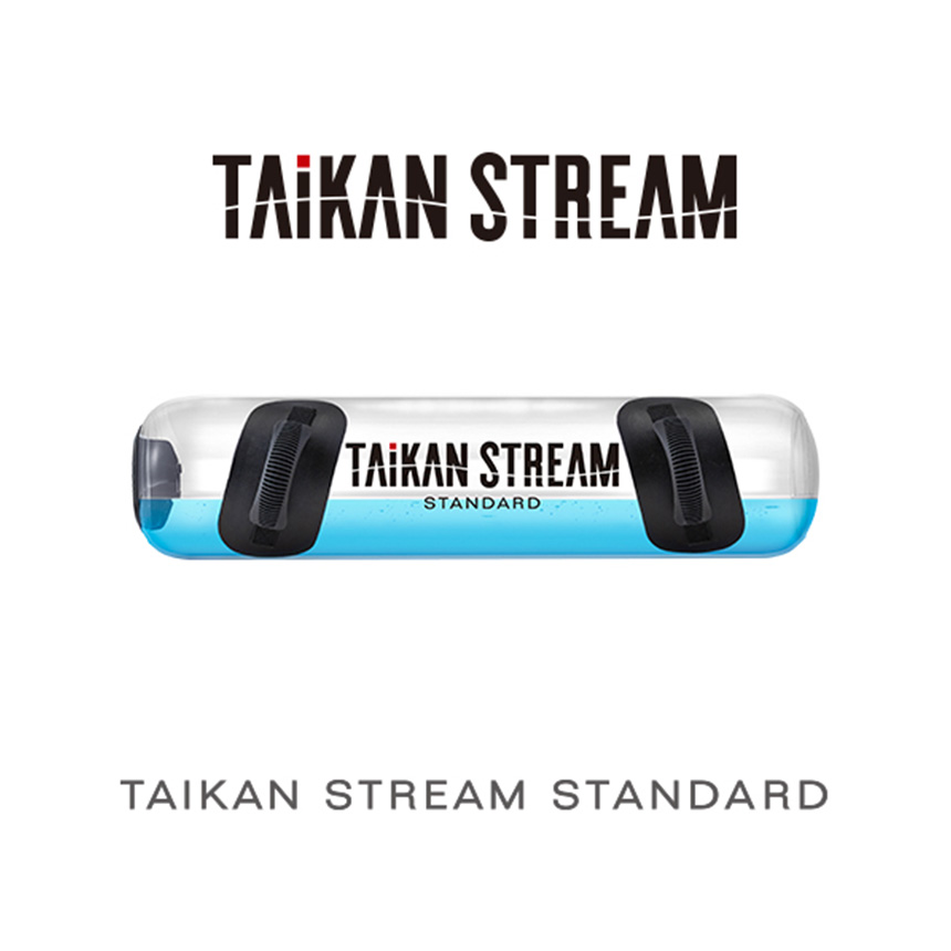 TAIKAN STREAM STANDARD（タイカンストリーム スタンダード） AT