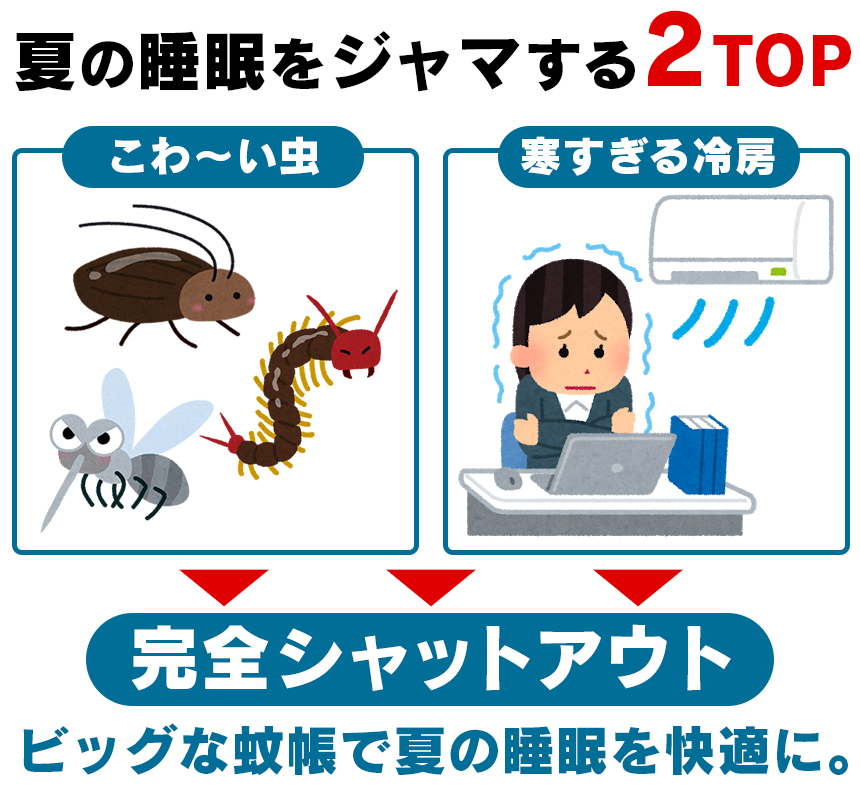 布団が2枚敷ける蚊帳 新聞掲載 シングルのお布団が2枚ゆったり敷けるビッグサイズの蚊帳です