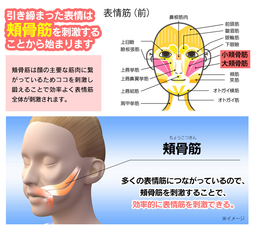 フェイスリフト Ems ピンク 明るい笑顔がよみがえる 見た目年齢若返りの秘密兵器