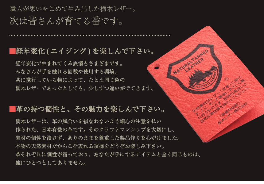 栃木レザーカードケース付き小銭入れ
