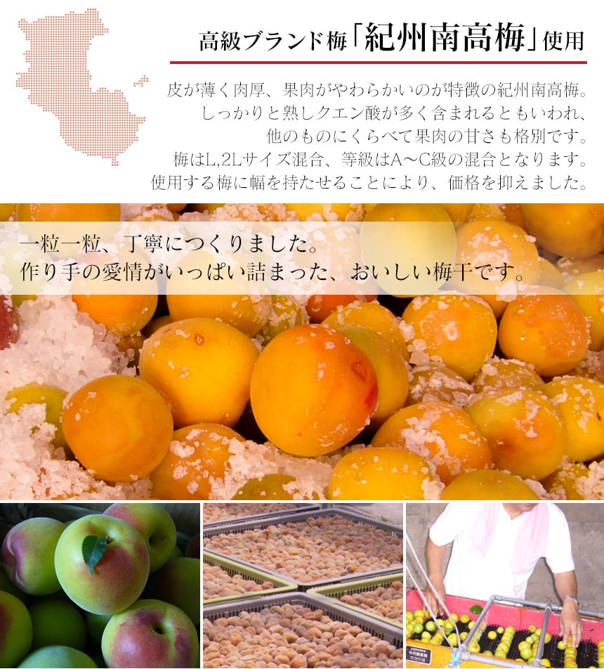 減塩 塩分3%紀州南高梅しそ2kg
