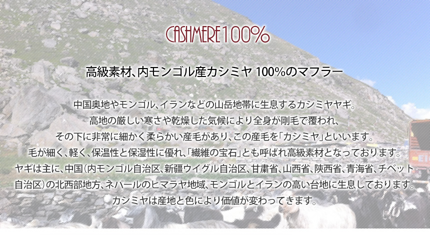 カシミヤ100%マフラー