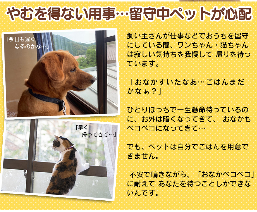 ボイスレコーダー搭載ペットフィーダー