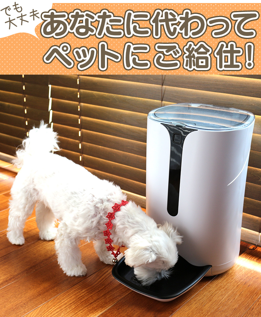 ボイスレコーダー搭載ペットフィーダー