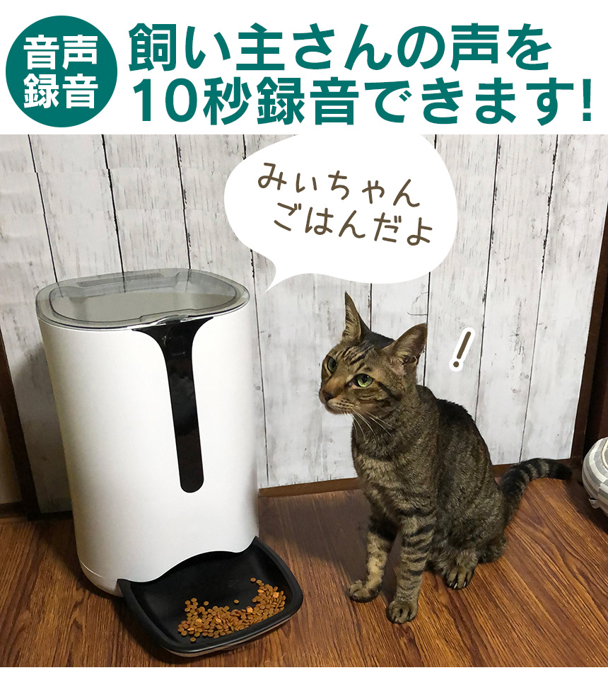 ボイスレコーダー搭載ペットフィーダー