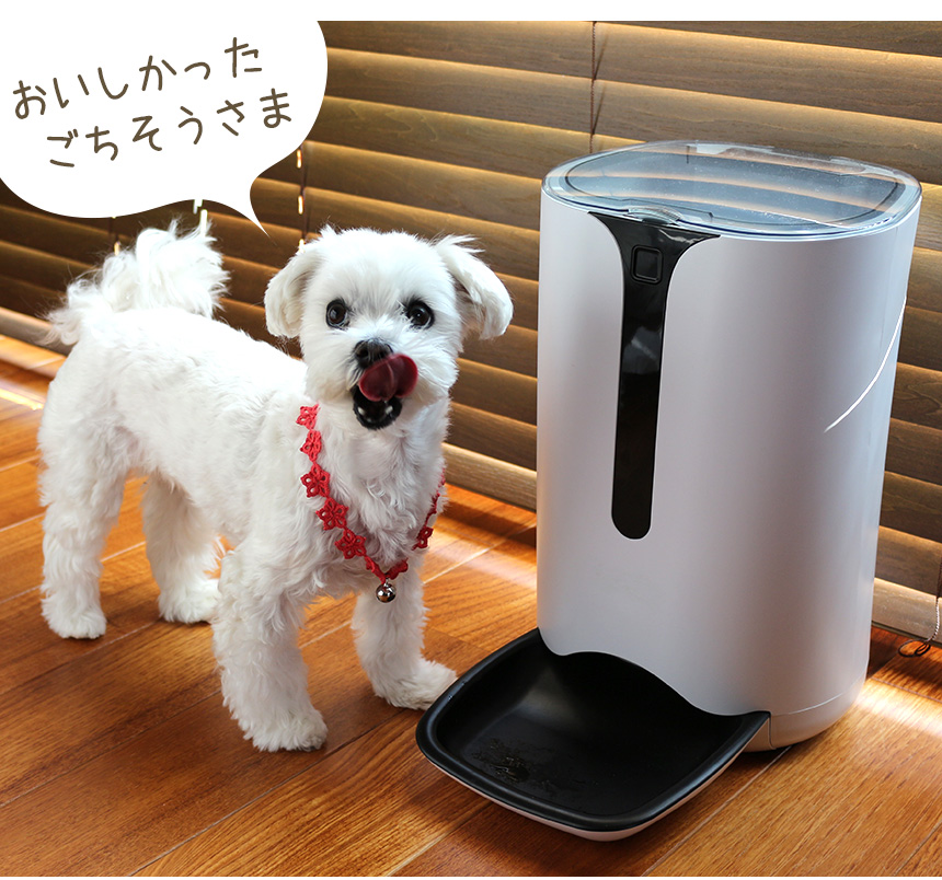 ボイスレコーダー搭載ペットフィーダー