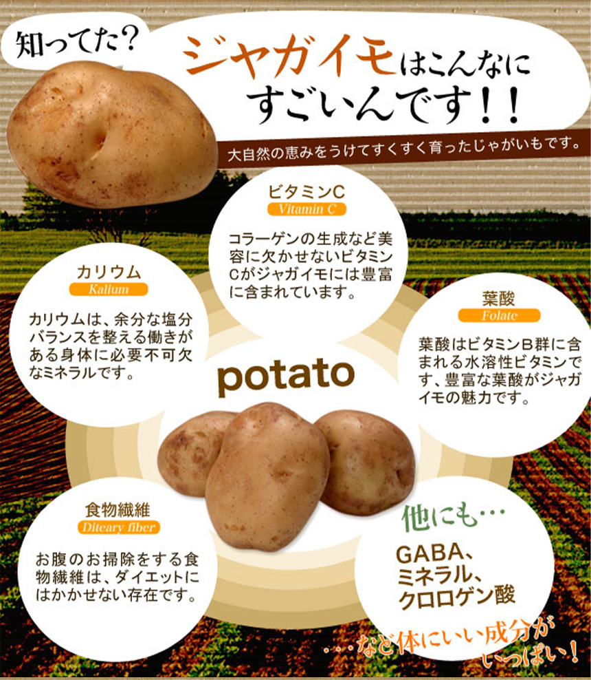 サクサクこんにゃくのじゃがチップス600g