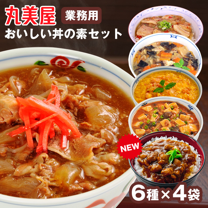 丸美屋業務用おいしい丼の素24袋セット