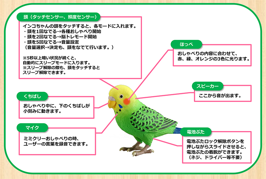 毎日おしゃべり 「天才インコちゃん」☆見た目も本物そっくりな天才インコちゃん