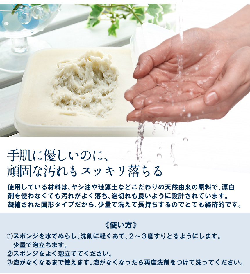 太田さん家の手づくり洗剤プロ52025S 【700g】