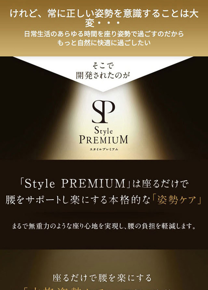 Style PREMIUM DX YS-AM03A