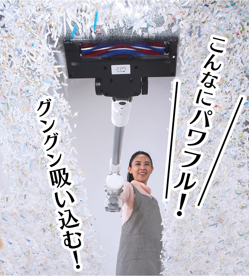 4WAYクリーナー サイクロニックマックス エムプラス VS-6810