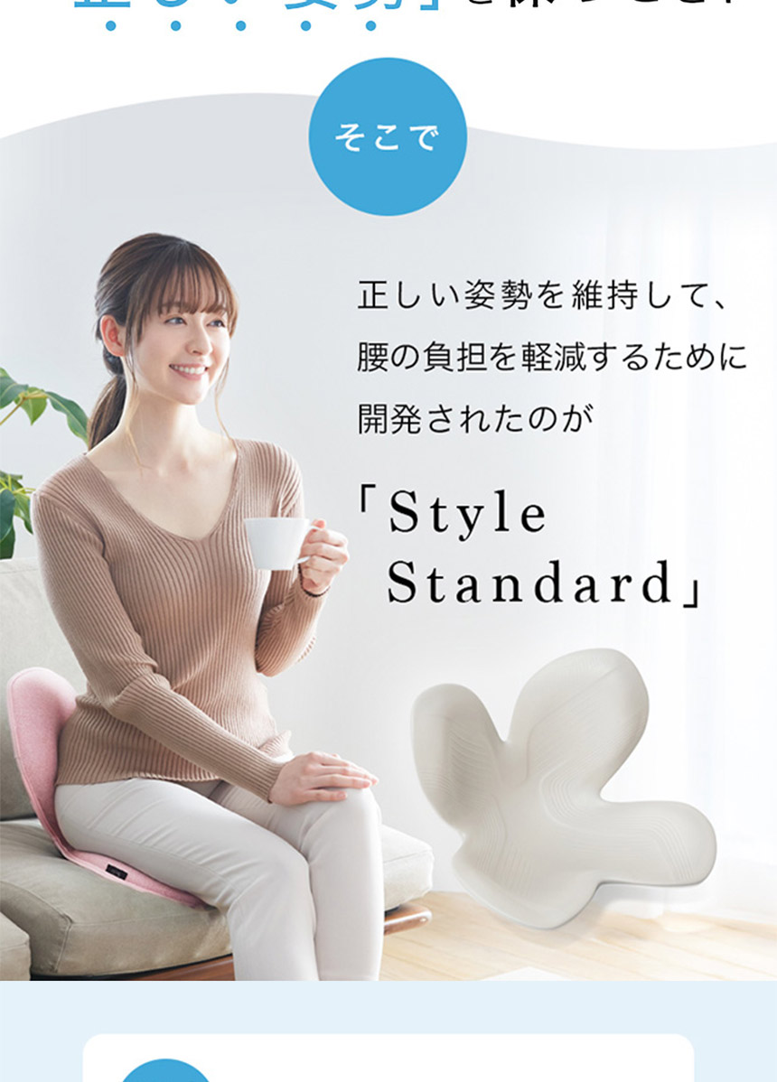 Style Standard 【N01】生地なし仕様☆正しい座り姿勢に導く、独自の 