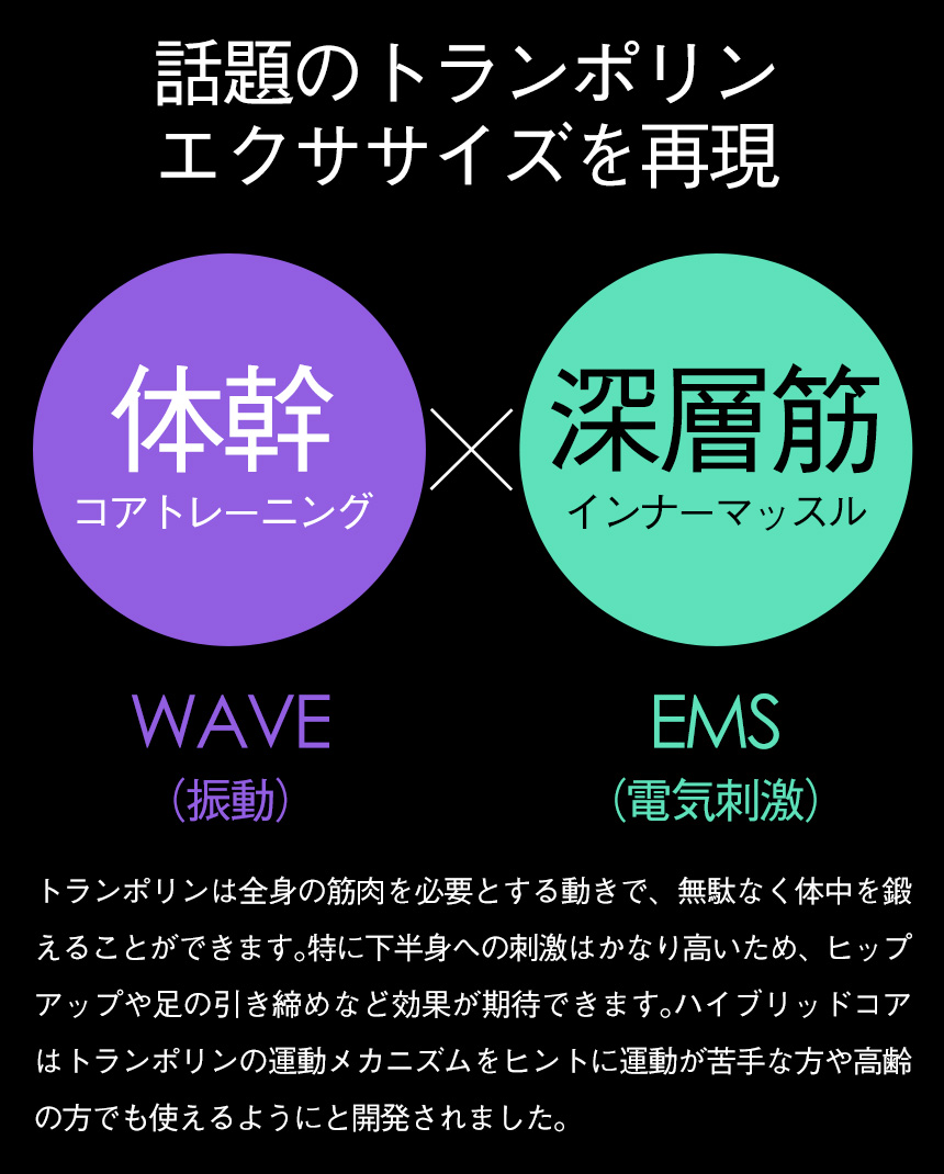 【EMS振動】ハイブリッドコア 振動ボード トレーニング インナーマッスル 筋肉