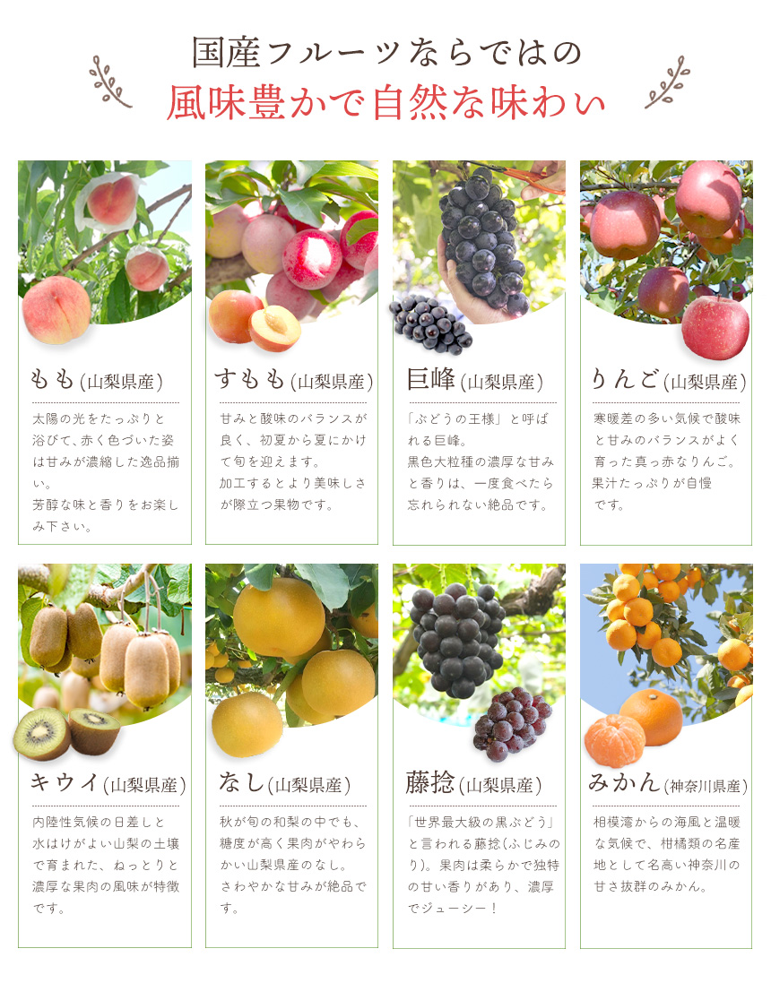 国産フルーツ使用 ぷるぷる果実のゼリー8種セット
