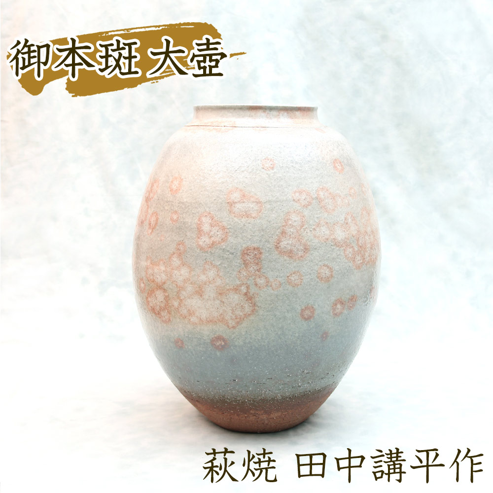 27cm口径【Hagiyaki】萩焼 萩焼新庄寒山窯 萩焼白釉窯変壺 42×H27cm ...