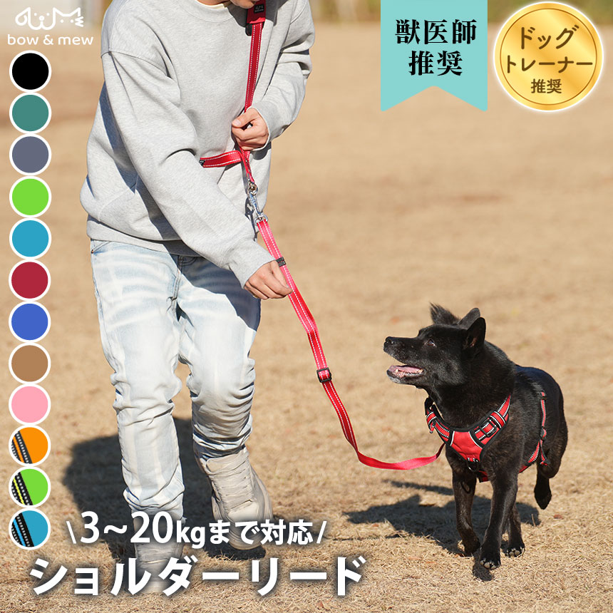 ショルダーリード