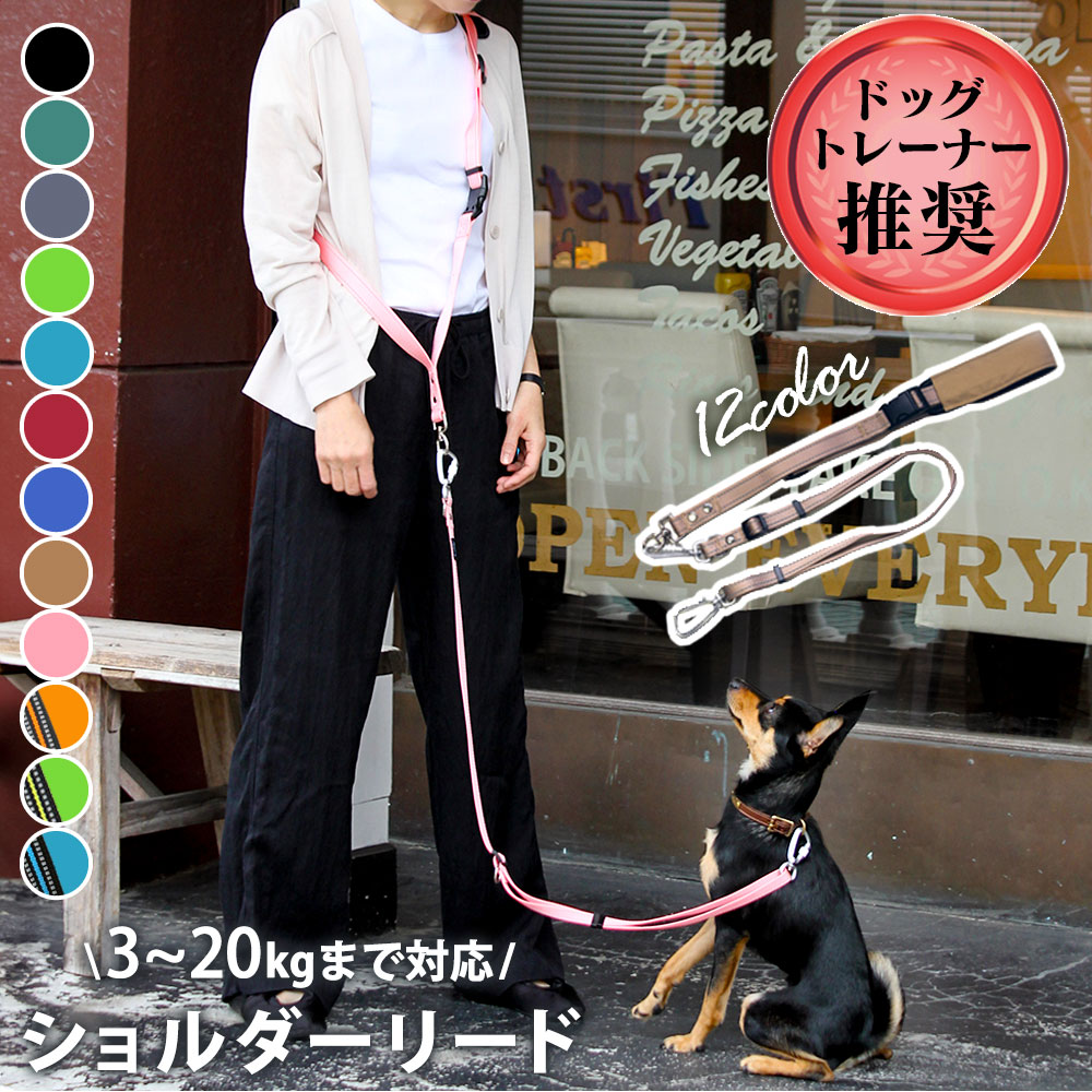 ショルダーリード