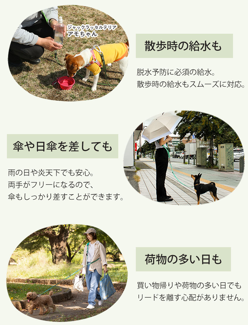ショルダーリード