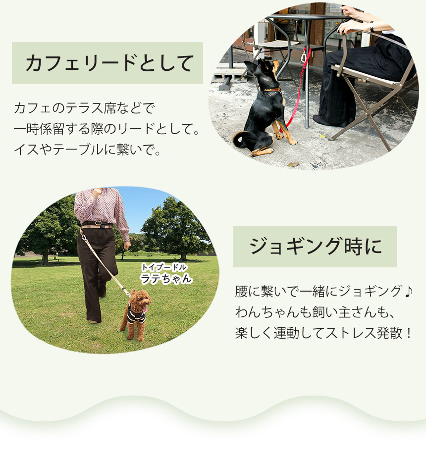 ショルダーリード