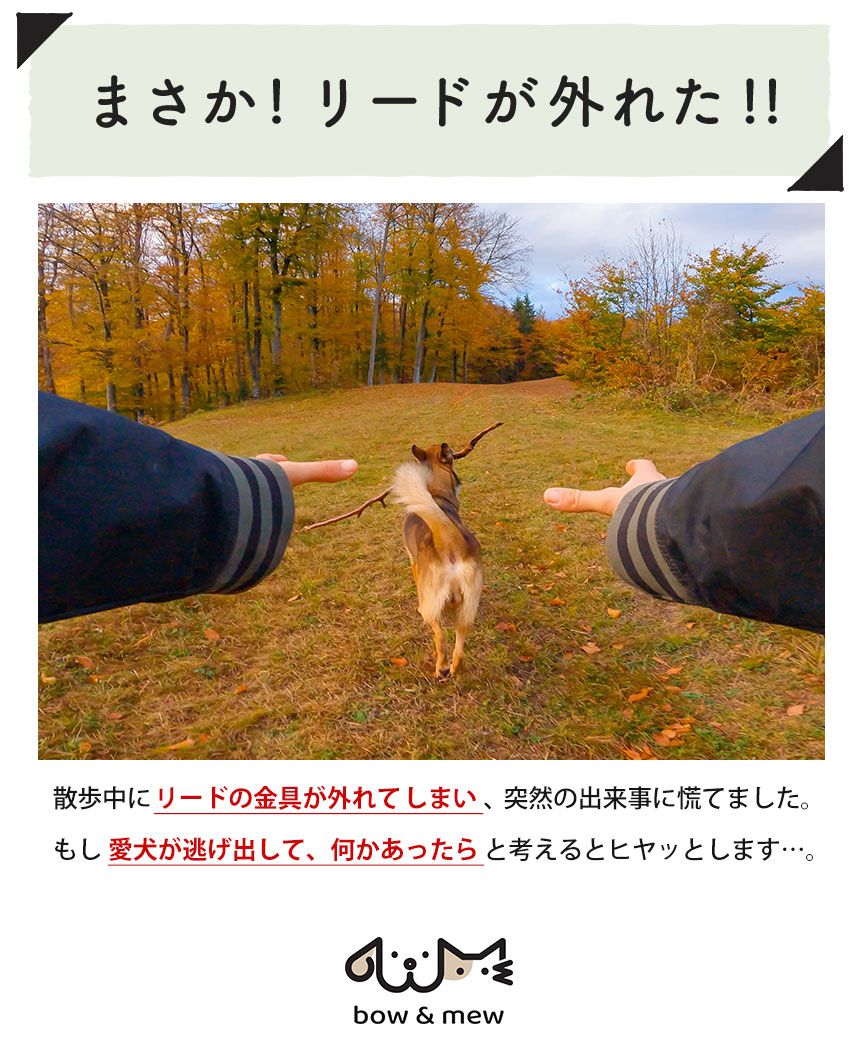 ショルダーリード