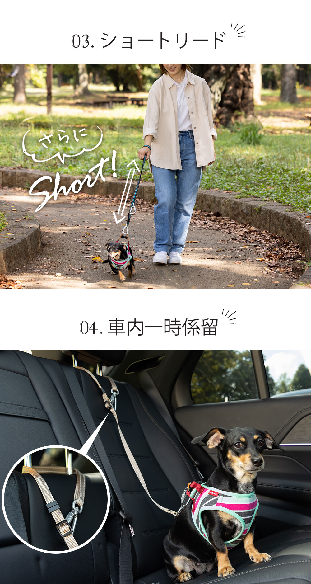 ショルダーリード