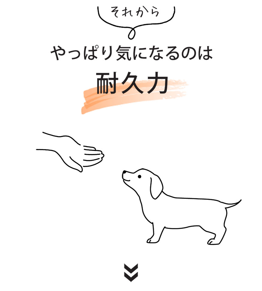 ショルダーリード