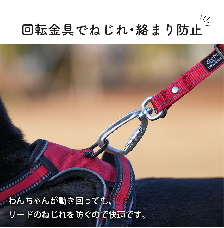 ショルダーリード