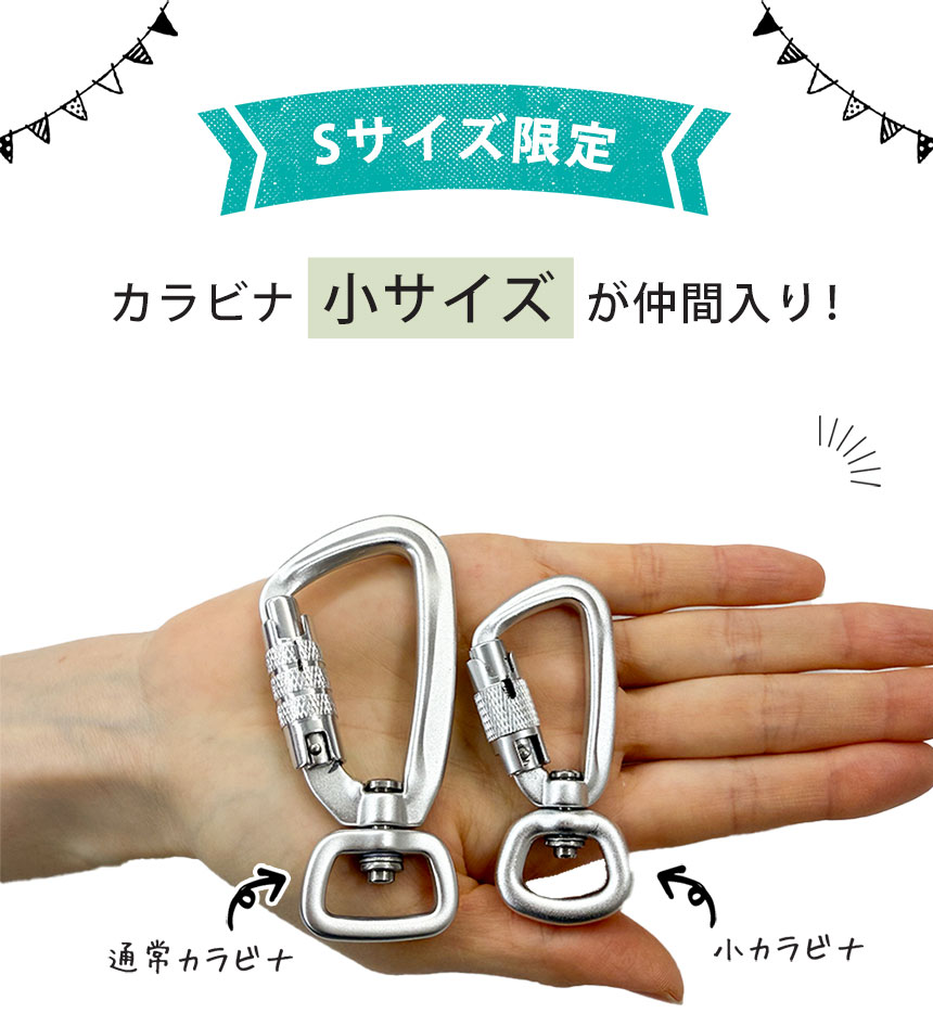 ショルダーリード