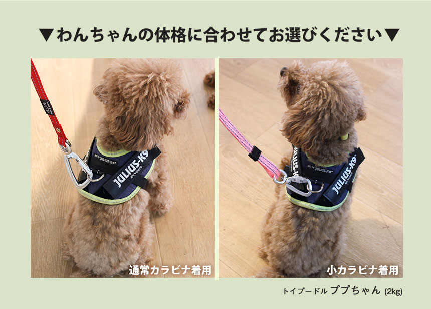 ショルダーリード