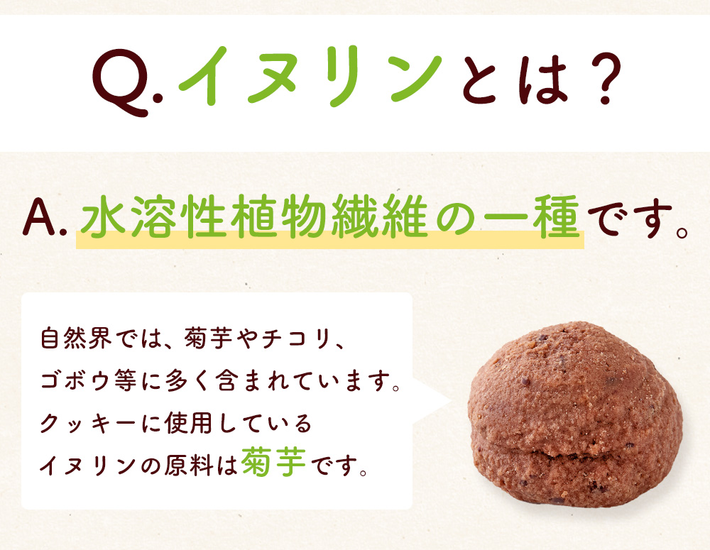 イヌリン入りソフト豆乳おからクッキー 500g(チョコ・オレンジ)