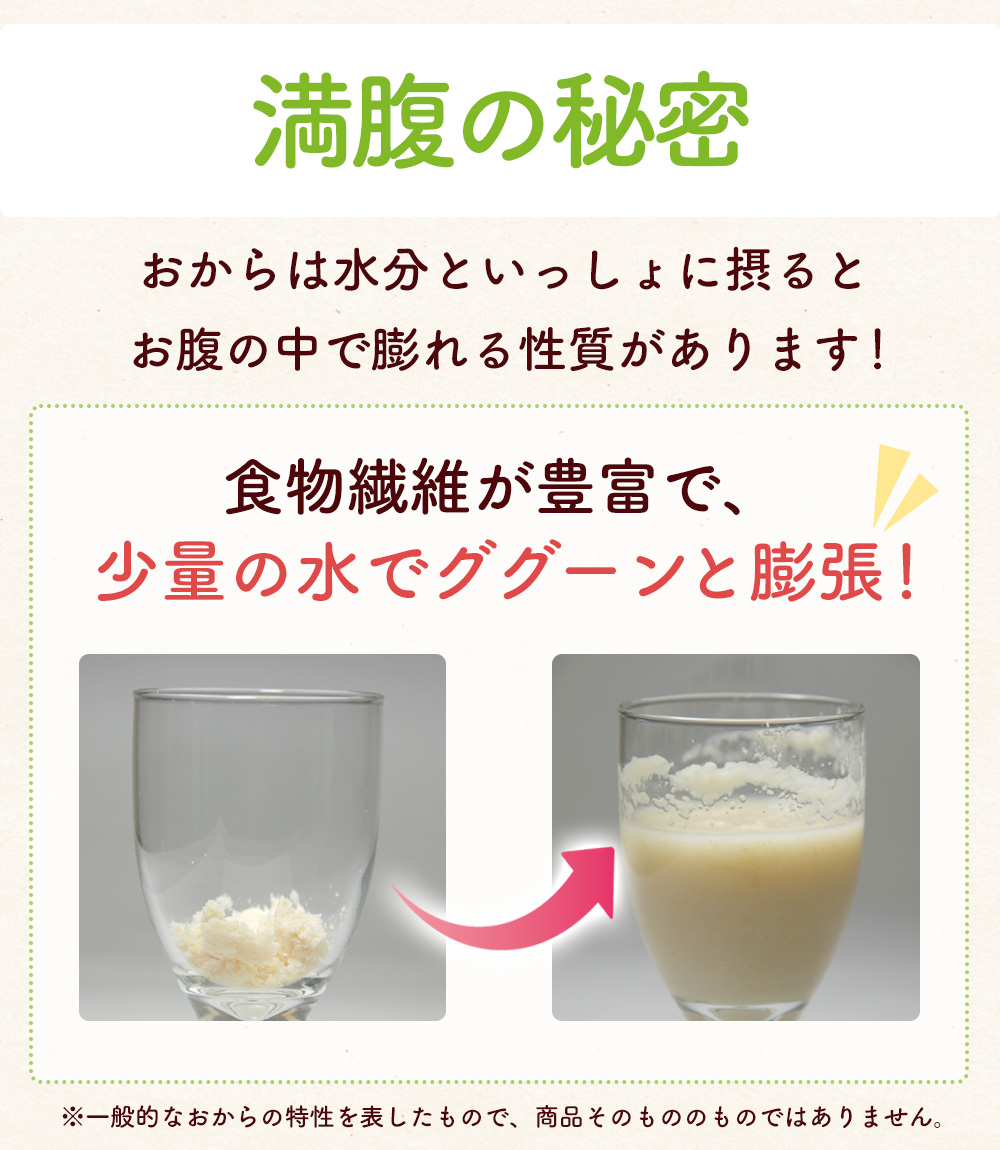 イヌリン入りソフト豆乳おからクッキー 500g(チョコ・オレンジ)