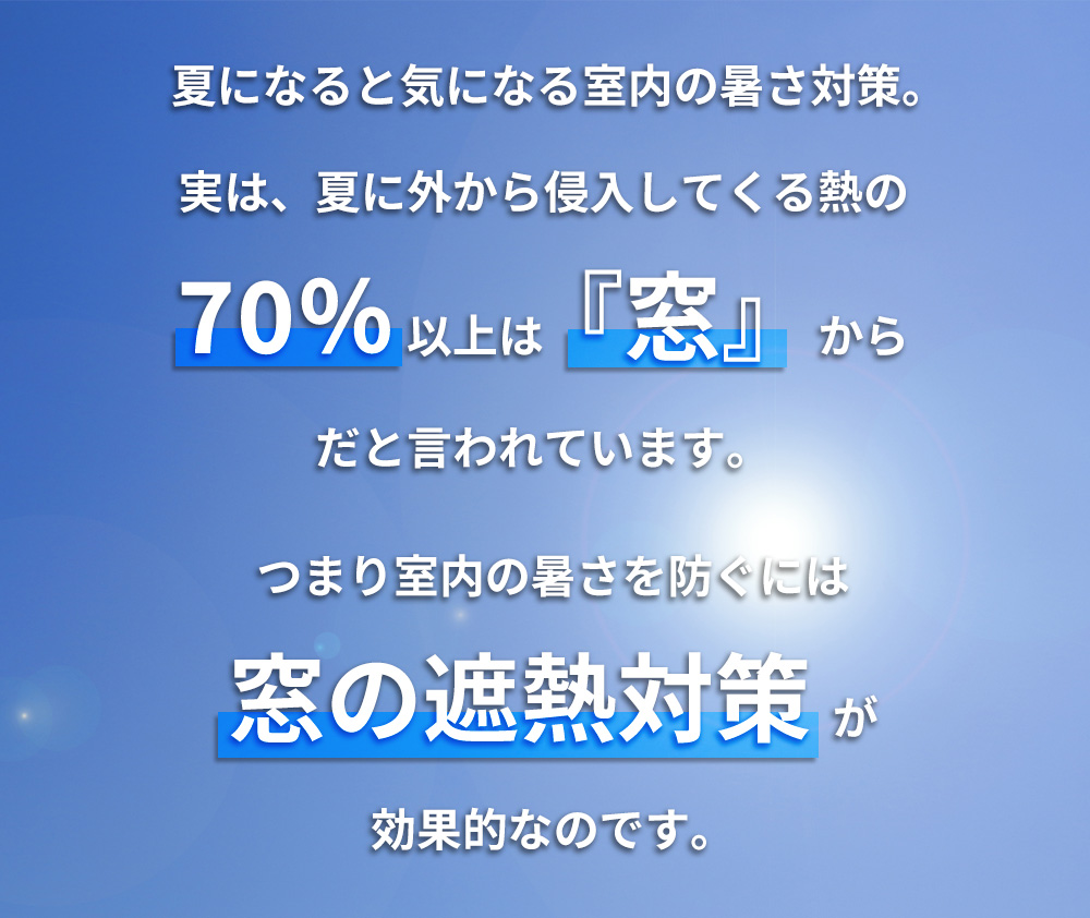 エコスクリーンセンタースリット ロング【2枚組】