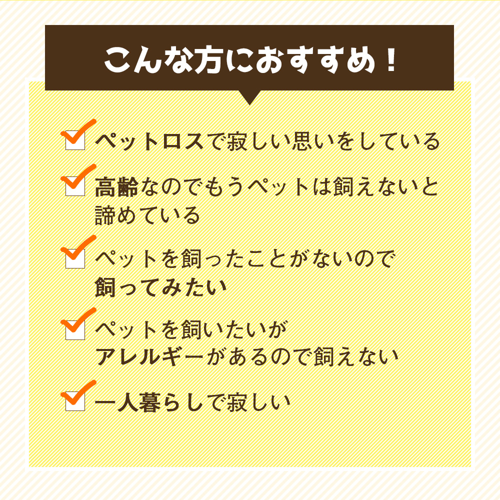 音声認識ぬいぐるみこんにちワン!しばいぬコウタ＜バンダナ付きセット＞