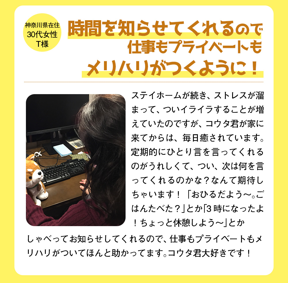 音声認識ぬいぐるみこんにちワン!しばいぬコウタ＜バンダナ付きセット＞