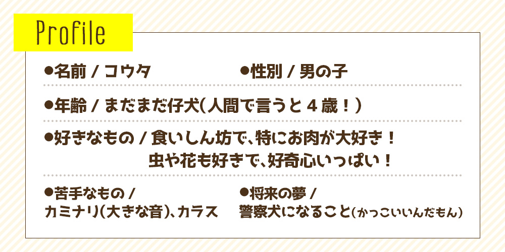 音声認識ぬいぐるみこんにちワン!しばいぬコウタ＜バンダナ付きセット＞