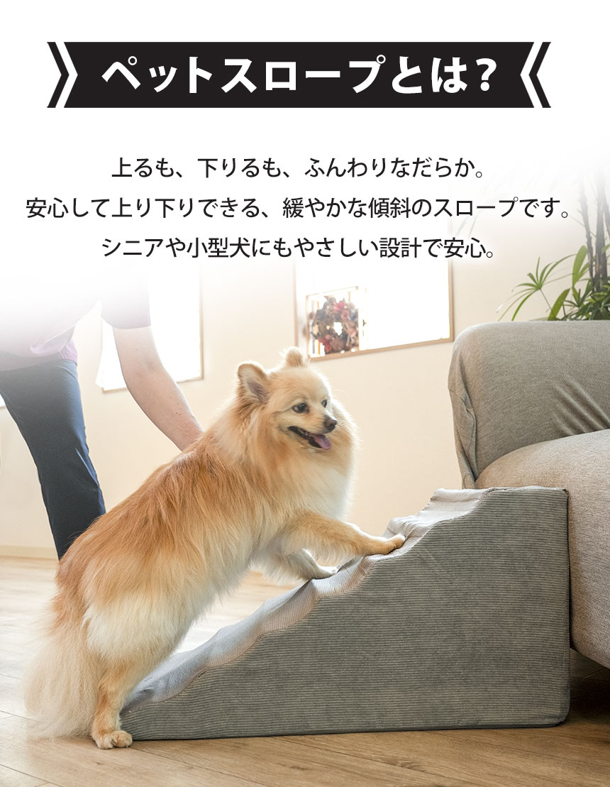 さざなみペットスロープ